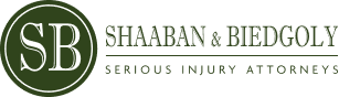 Main Logo